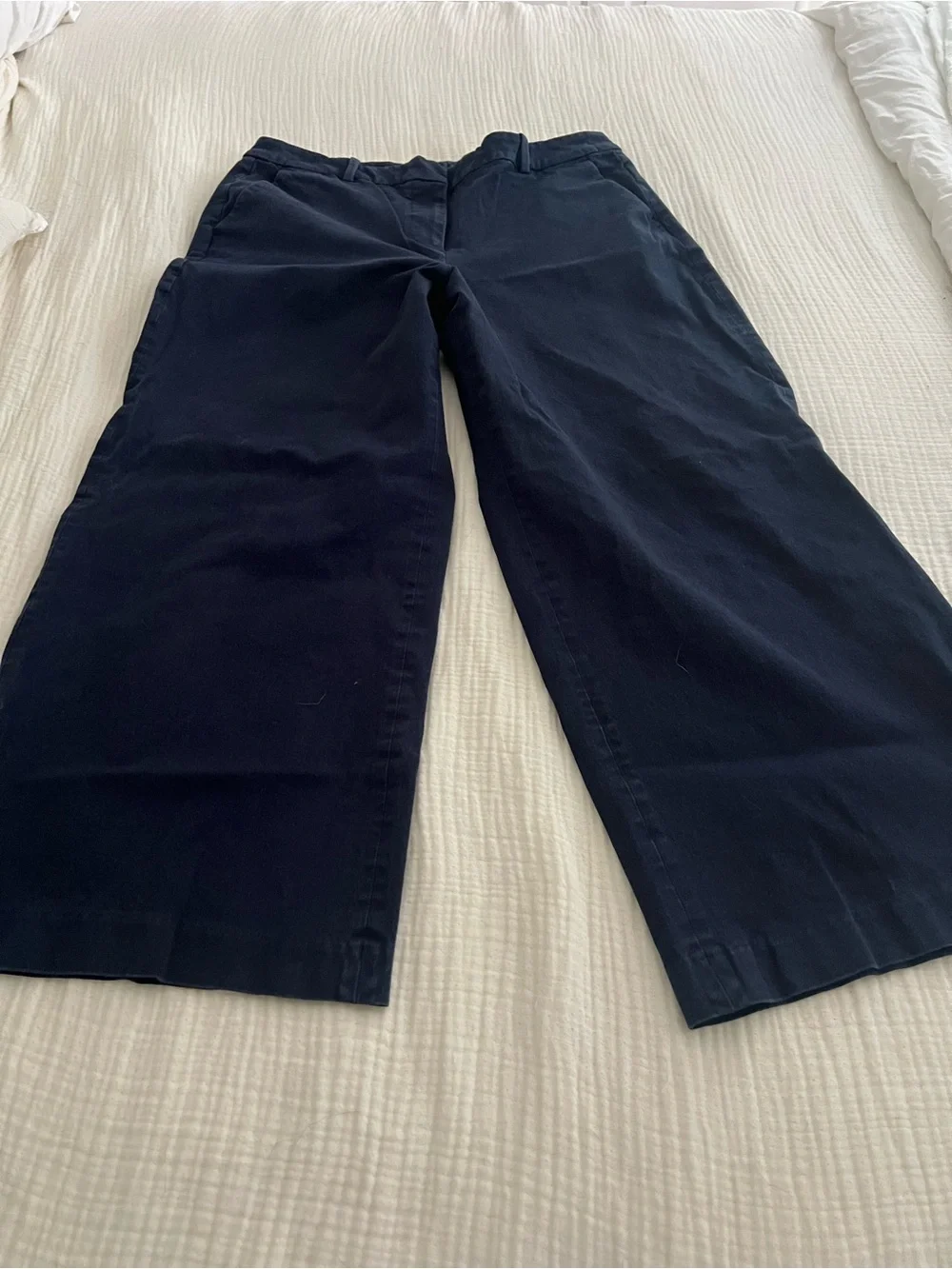 J. Crew Remy Navy Blue Pants